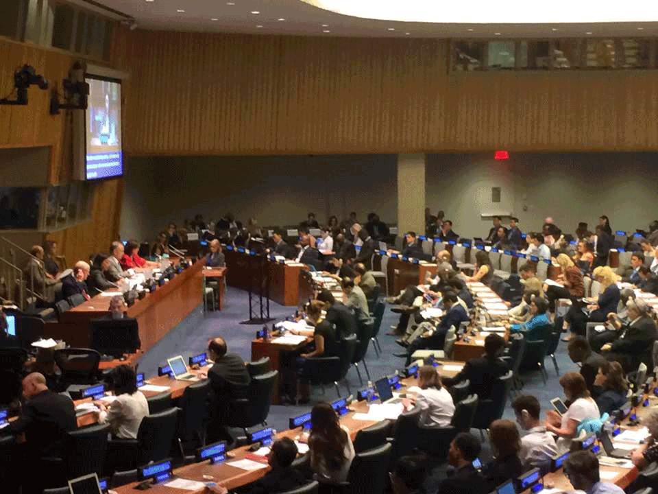 Reflections on the 2017 HLPF and the Ministerial Declaration