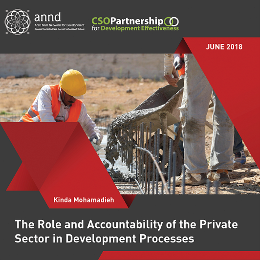 The Role and Accountability of the Private Sector in Development Processes