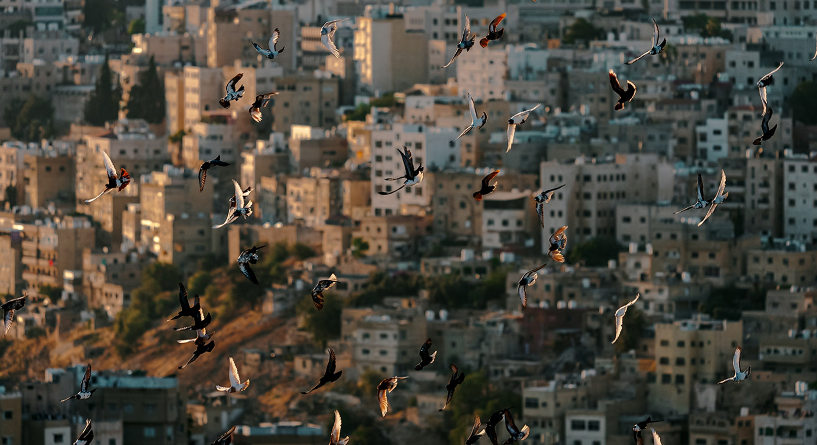 المراجعة الدورية الشاملة – الأردن - الدورة 45
